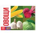 Обучающая книга «Овощи», 20 стр. - Фото 1