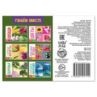 Обучающая книга «Овощи», 20 стр. - Фото 4