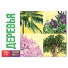 Обучающая книга «Деревья», 20 стр. - Фото 1