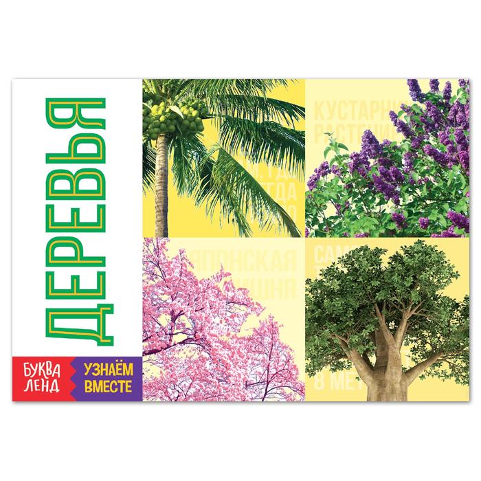 Обучающая книга «Деревья», 20 стр. - Фото 1