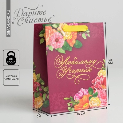Пакет подарочный ламинированный, упаковка, «Любимому Учителю», MS 18 х 23 х 10 см