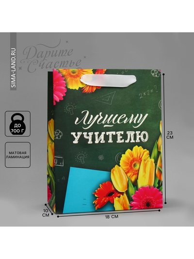 Пакет подарочный ламинированный, упаковка, «Лучшему Учителю», MS 18 х 23 х 10 см