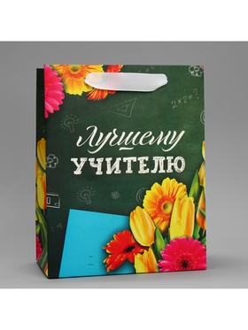 Пакет подарочный ламинированный, упаковка, «Лучшему Учителю», MS 18 х 23 х 10 см (комплект 2 шт)