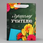 Пакет подарочный ламинированный вертикальный, упаковка, «Лучшему Учителю», MS 18 х 23 х 10 см - Фото 3