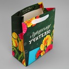 Пакет подарочный ламинированный вертикальный, упаковка, «Лучшему Учителю», MS 18 х 23 х 10 см - Фото 4
