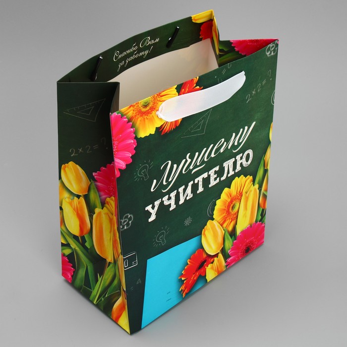 Пакет подарочный ламинированный вертикальный, упаковка, «Лучшему Учителю», MS 18 х 23 х 10 см - фото 1885132056