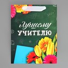 Пакет подарочный ламинированный вертикальный, упаковка, «Лучшему Учителю», MS 18 х 23 х 10 см - Фото 7