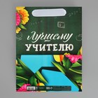 Пакет подарочный ламинированный вертикальный, упаковка, «Лучшему Учителю», MS 18 х 23 х 10 см - Фото 8