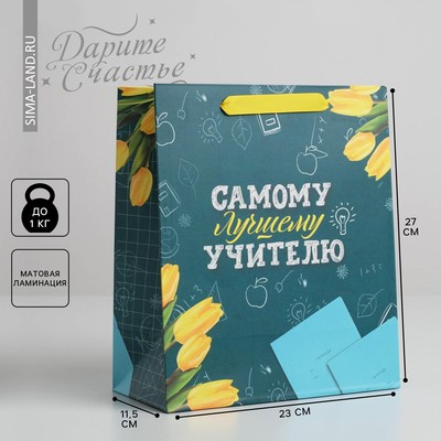 Пакет подарочный ламинированный, упаковка, «Самому Лучшему Учителю», ML 27 х 23 х 11.5 см