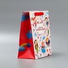 Пакет подарочный ламинированный вертикальный, упаковка, «Любимому воспитателю», ML 27 х 23 х 11,5 см - Фото 4