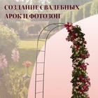Арка садовая, 240×125×36.5 см, для вьющихся растений, металлическая, бронзовая - Фото 4