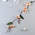 Декор тинги «Лептоспериум», h=150 см, МИКС - фото 33865390