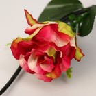 Декор тинги "Роза с мелкими цветочками"(бутон d=6см, h=6см) 150 см цена за 1шт) микс - Фото 3