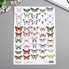 Набор картинок для декорирования Бабочки 1" 21х30 см - Фото 1