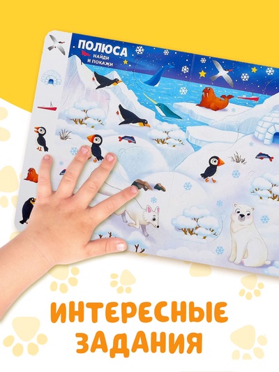 Книга картонная с окошками «Найди, открой, покажи!» 10 стр.