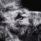 Полотенце махровое «Этель. Лев», 70×130 см, 100% хлопок, 420 г/м², чёрно-белое - Фото 3