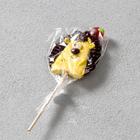 Леденец ручной работы «Ёжик» 30 г, микс - Фото 1