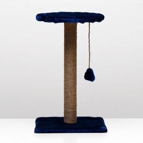 

Когтеточка "Столбик" с круглой полкой и игрушкой, 35 х 35 х 60 см, синяя