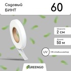 Лента для подвязки растений, 50×0.02 м, плотность 60 г/м², спанбонд с УФ-стабилизатором, белая, Greengo, Эконом 20% - Фото 1
