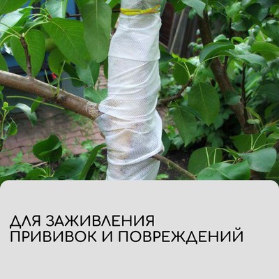 Лента для подвязки растений, 50×0.02 м, плотность 60 г/м², спанбонд с УФ-стабилизатором, белая, Greengo, Эконом 20%
