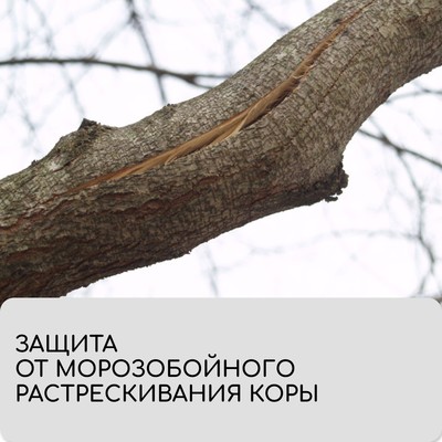 Лента для подвязки растений, 50×0.02 м, плотность 60 г/м², спанбонд с УФ-стабилизатором, белая, Greengo, Эконом 20%
