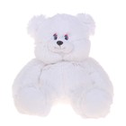 Мягкая игрушка-рюкзак «Медведь», цвета МИКС - Фото 8