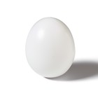 Яйцо искусственное подкладное, для кур, 4 × 5 см, 1 шт., белое, Greengo - фото 320651751