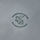 Тарелка Башкирский фарфор «Акварель», d=20 см, светло-серая - Фото 5