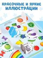 Книга картонная с окошками «Цвета и формы» 10 стр. - Фото 3