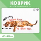 Коврик под миску «Не проста жизнь кота», 43х28 см 5494965 - фото 8988556