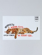 Коврик под миску «Не проста жизнь кота», 43х28 см - фото 809698760