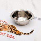 Коврик под миску «Не проста жизнь кота», 43х28 см - фото 8500968