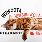 Коврик под миску «Не проста жизнь кота», 43х28 см - фото 8991747