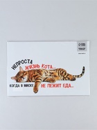 Коврик под миску «Не проста жизнь кота», 43х28 см - фото 809698761