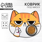 Коврик под миску «Поставь миску на место», 32х27 см - Фото 1