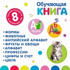 Обучающая игрушка «Интерактивная книга», с интерактивной ручкой, звук, свет - Фото 5