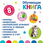 Обучающая игрушка «Интерактивная книга», с интерактивной ручкой, звук, свет - фото 3722337