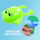 Водоплавающая игрушка «Лягушонок», заводная - Фото 3