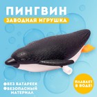 Водоплавающая игрушка «Пингвин», заводная - фото 2444344