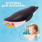 Водоплавающая игрушка «Пингвин», заводная - Фото 3