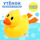 Водоплавающая игрушка «Утёнок», заводная - Фото 1