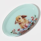 Блюдо стеклянное овальное Доляна «Кролик», овальное, 24,5×15 см - фото 9139111