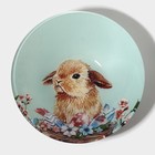 Тарелки Доляна «Кролик», 19 предметов: 6 десертных тарелок, 6 обеденных тарелок, 6 мисок, салатник, стекло, голубые - Фото 2