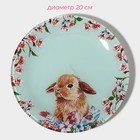 Набор тарелок стеклянных Доляна «Кролик», 19 предметов: 6 десертных тарелок, 6 обеденных тарелок, 6 мисок, салатник - Фото 4