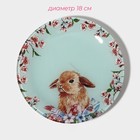 Тарелки Доляна «Кролик», 19 предметов: 6 десертных тарелок, 6 обеденных тарелок, 6 мисок, салатник, стекло, голубые - Фото 5