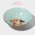 Тарелки Доляна «Кролик», 19 предметов: 6 десертных тарелок, 6 обеденных тарелок, 6 мисок, салатник, стекло, голубые - Фото 6