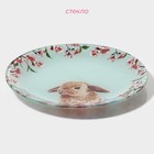 Тарелки Доляна «Кролик», 19 предметов: 6 десертных тарелок, 6 обеденных тарелок, 6 мисок, салатник, стекло, голубые - Фото 8