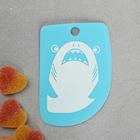 Шпатели кондитерские, набор «Море» 11,5×8 см, 11.2×6.5 см, 10×7 см, 3 шт - Фото 3