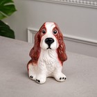 Копилка "Собака Спаниэль", коричневый цвет, глянец, керамика, 19 см - Фото 1