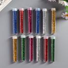 Глиттер (набор 12 шт.) «Пудра яркая», в тюбике 3 г - Фото 3